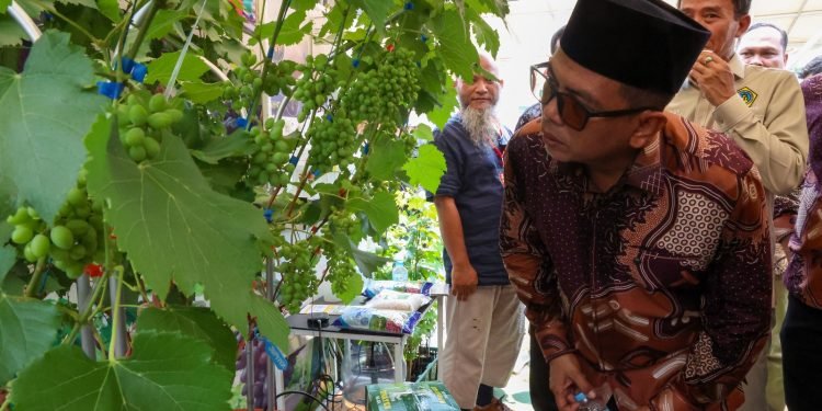 PEDA KTNA Banten 2025: Andra Soni Dorong Pertanian Modern Berbasis Teknologi