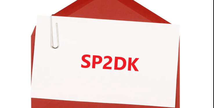 SP2DK Datang Via Pos? Jangan Panik! Ini Cara Jitu Respon SP2DK dari DJP!