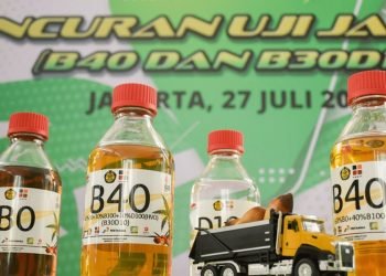 Petani Sawit Berontak: B50 Mengancam Minyak Goreng dan Petani!