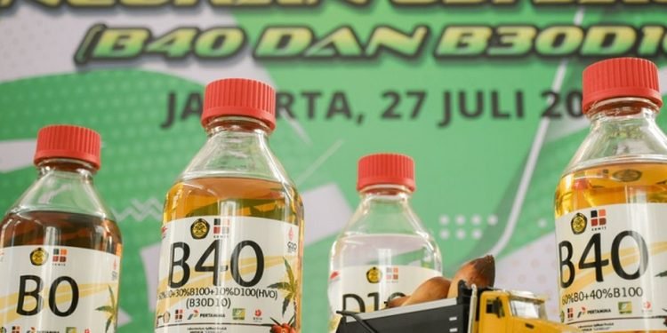 Petani Sawit Berontak: B50 Mengancam Minyak Goreng dan Petani!