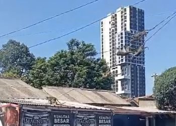 Warga Rawa Buntu Resah Dihantui Kawanan Monyet Liar