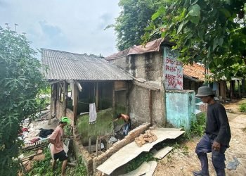 Ruang Publik Jadi Lahan Pungli? Oknum Fotografer Resahkan GBK dan Tebet Eco Park!