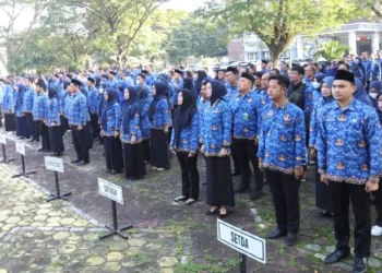 Cilegon Krisis Honorer? 900 Orang di Ujung Tanduk, Pemkot Angkat Tangan Tunggu BKN!
