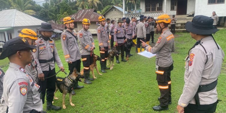 Tim K9 Polri di Nagakeo: Jejak Harapan di Tengah Puing Bencana