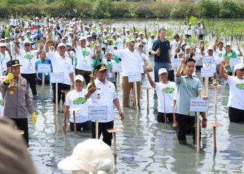 Gibran dan Andra Soni Tanam Mangrove: Banten Garda Depan Pelestarian Pesisir