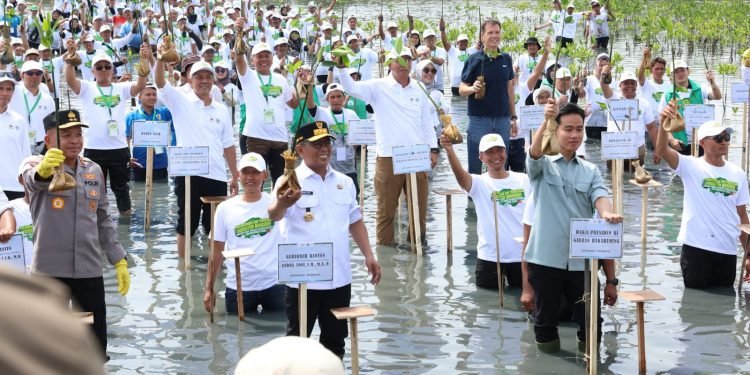 Gibran dan Andra Soni Tanam Mangrove: Banten Garda Depan Pelestarian Pesisir