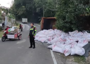 Truk Pupuk Subsidi Terguling di Pandeglang: Tanjakan Maut!