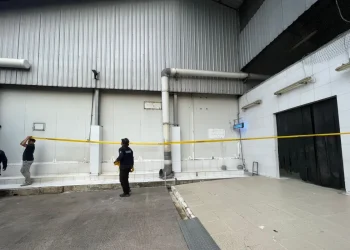 Skandal Udang Radioaktif: Satgas Buru Sumber Cemaran Cs-137 di Cikande!