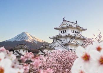 IKN Pikat Hati Investor Jepang! Proyek Jangka Panjang yang Bikin Tergoda