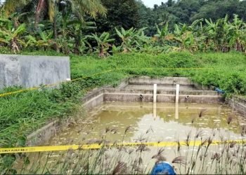 Pabrik Pakan Ternak di Bogor Disegel! Limbah Cemari Sungai Cileungsi, DLH Bertindak!