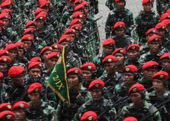 Evolusi Loreng TNI: Dari Malvinas ke Sage Green, Simbol Transformasi Menuju Modernitas