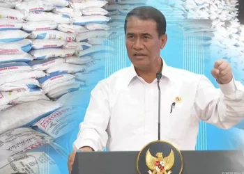 Era Baru Pertanian: Pemerintah Pangkas Harga Pupuk, Petani Sumringah!