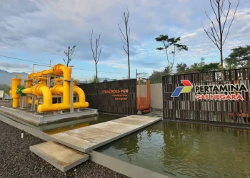 Pesona Borobudur Memikat Eropa: Balkondes Karangrejo Siap Sambut Wisatawan Mancanegara!