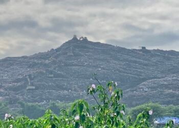 Open Trip Bantargebang Mulai Rp99.900: Fenomena Wisata Tak Biasa yang Memantik Pro-Kontra Publik