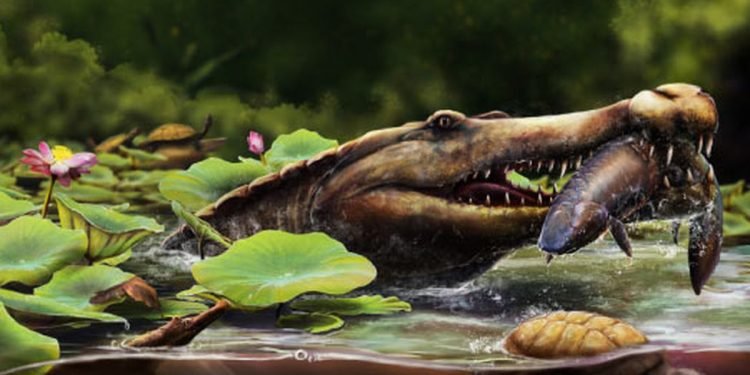 Fosil Buaya Raksasa Berusia 80 Juta Tahun Ditemukan di Mesir!