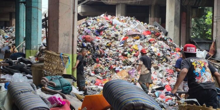 Gunungan Sampah di Kolong Tol Tanjung Priok: Upaya Pembersihan, Dampak ke Warga, dan Harapan Penataan