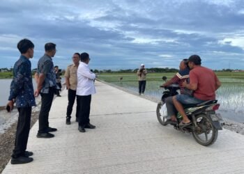 Pengamat Nilai Program Bang Andra Banten: Efektif Tingkatkan Ekonomi Desa, Berpotensi Diterapkan Nasional