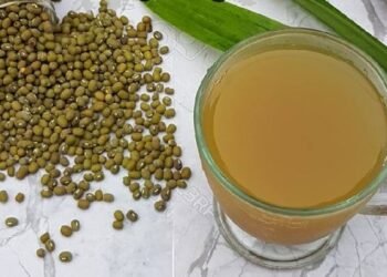 Air Rebusan Kacang Hijau Jadi Tren Sehat: Ragam Manfaatnya dari Kontrol Gula Darah hingga Tingkatkan Energi