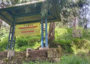 Pencarian Pendaki Merapi Masih Berlanjut, Satu Selamat dari Insiden Terperosok