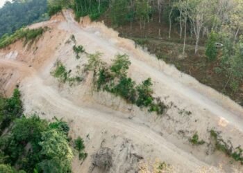 Hutan Rusak di Jawa Barat, Kolaborasi Pemerintah dan Masyarakat untuk Reboisasi
