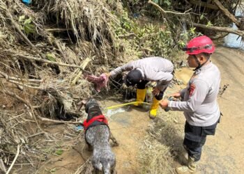 Polri Kerahkan Unit K-9 dan Tim SAR Andal untuk Misi Pencarian Korban di Sumbar