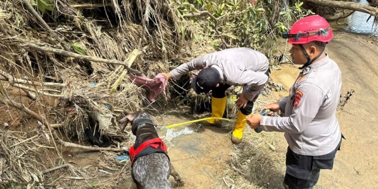 Polri Kerahkan Unit K-9 dan Tim SAR Andal untuk Misi Pencarian Korban di Sumbar