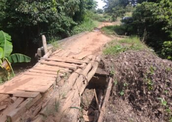 Akses Vital Dua Kampung Terancam, Jembatan Penghubung di Way Kanan Kian Parah