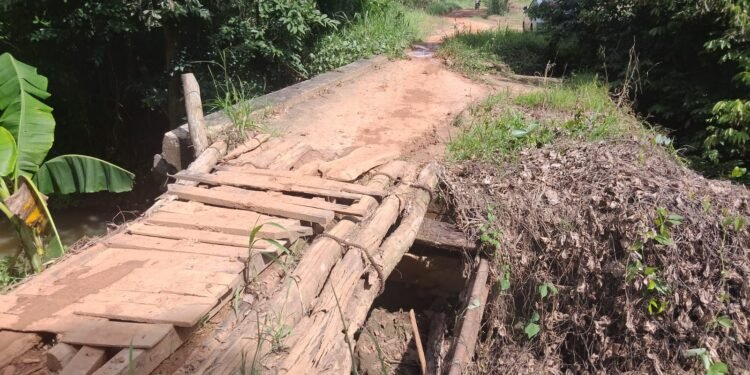 Akses Vital Dua Kampung Terancam, Jembatan Penghubung di Way Kanan Kian Parah