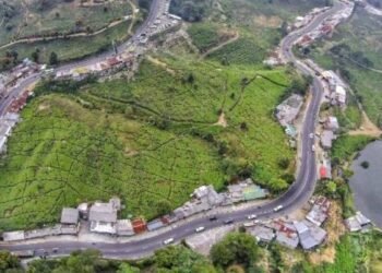 Puncak Bogor Siap Sambut Wisatawan, Aturan Ganjil Genap Dihapus Sementara