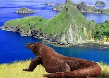 Dunia Mengakui Keindahan Pulau Komodo, Masuk Daftar 20 Destinasi Terbaik 2026