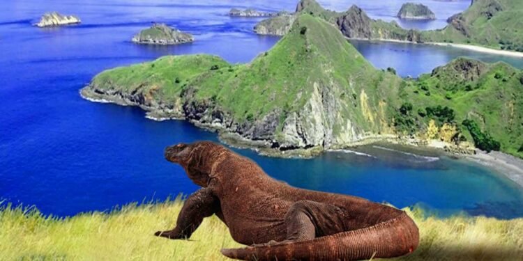 Dunia Mengakui Keindahan Pulau Komodo, Masuk Daftar 20 Destinasi Terbaik 2026