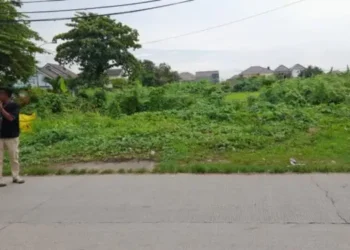 Gapoktan Ungkap Realita Petani Cilegon yang Bertani di Lahan Bukan Milik Sendiri