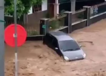 Banjir Bandang Terjang Jember, Aktivitas Warga Lumpuh dan Jalur Akses Terisolasi