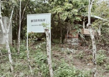 Kritik Kampanye Patungan Beli Hutan, Inisiatif Wakaf Jadi Pilihan