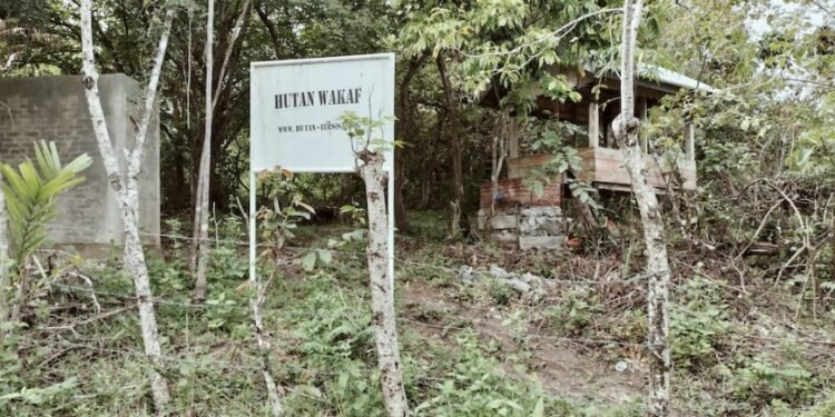 Kritik Kampanye Patungan Beli Hutan, Inisiatif Wakaf Jadi Pilihan