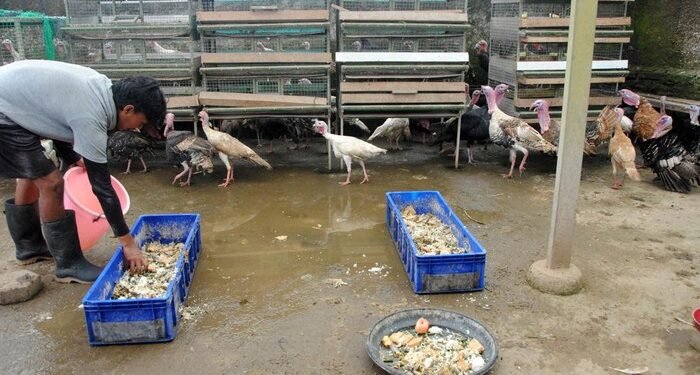 Kreatif dan Berkelanjutan, Limbah MBG di Bogor Kini Jadi Maggot dan Pupuk