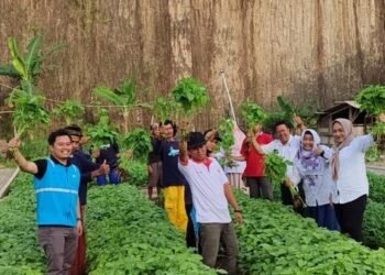 Dari Tambang ke Lahan Produktif, Transformasi Hijau di Cilegon