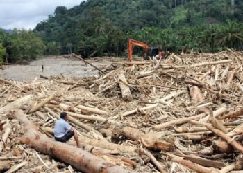 Gelondongan Kayu Hanyut di Banjir Sumatera Picu Sorotan Senayan terhadap Dugaan Kerusakan Hutan