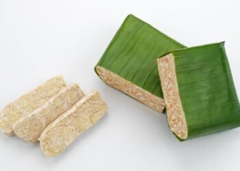 UNESCO Akui Tempe, Fadli Zon Sebut Penghargaan untuk Budaya Nusantara