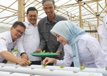 Rudi Suhartanto: Greenhouse Cibojong Harus Jadi Pilar Ketahanan Pangan Desa