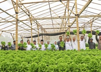 Panen Perdana Selada Hidroponik Cibojong, Bupati Serang Tetapkan BUMDes sebagai Percontohan